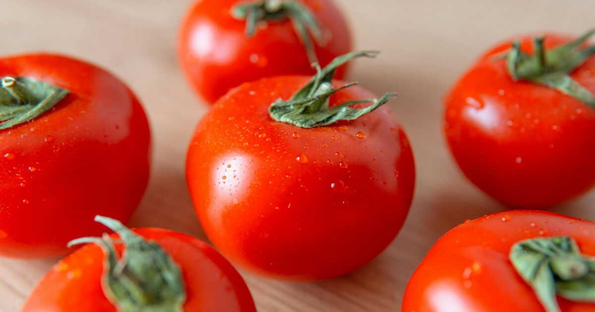 La recette gourmande des tomates farcies au poulet et au chèvre