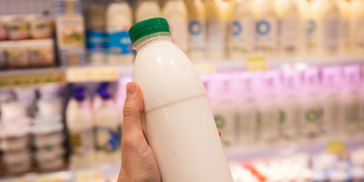 L'interdiction des noms de produits carnés : un tournant pour les substituts végétaux