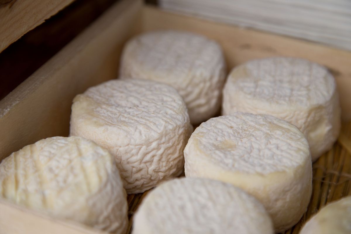 Rappel urgent de fromages de chèvre en raison de cas de salmonellose