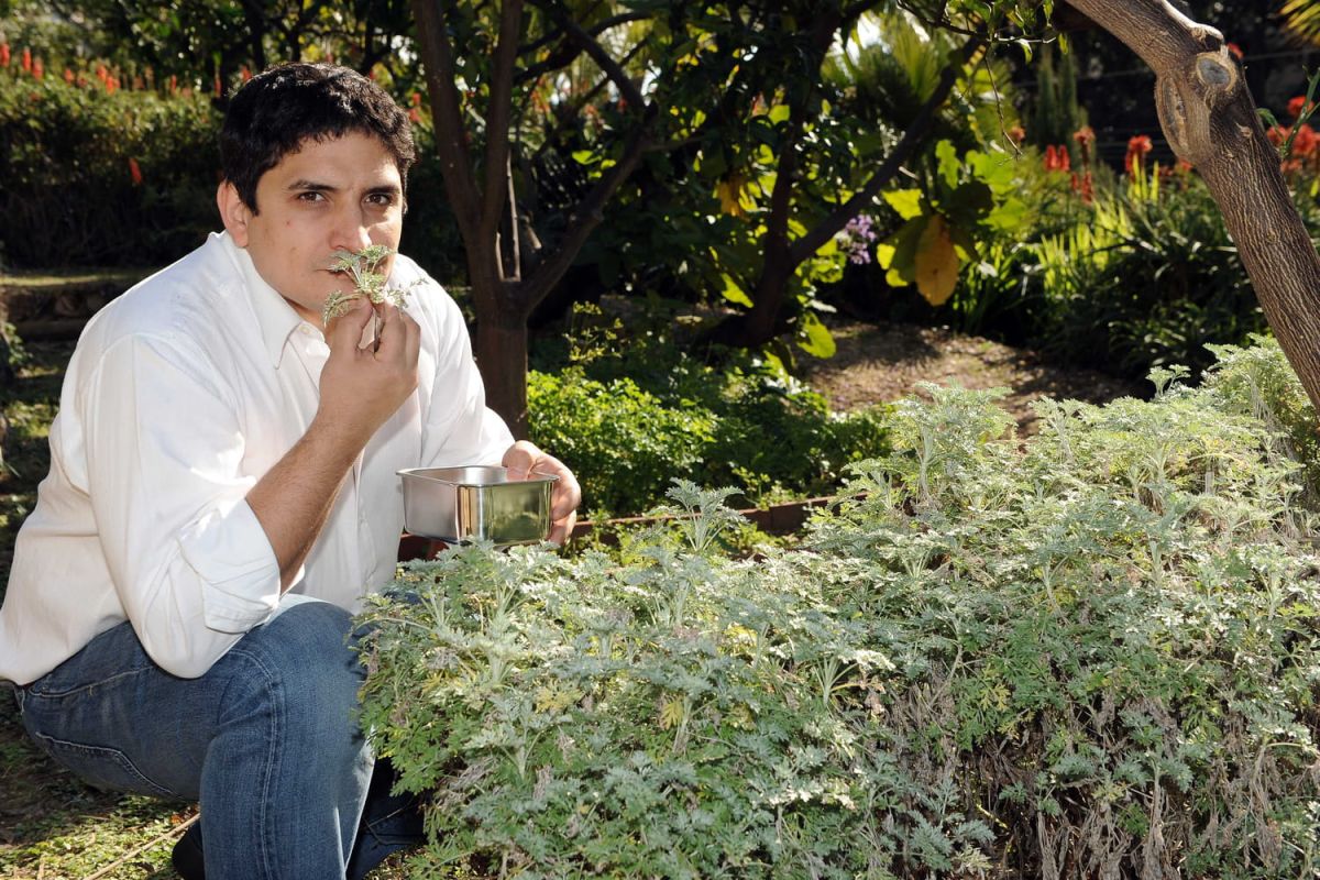 Mauro Colagreco : le chef aux multiples succès