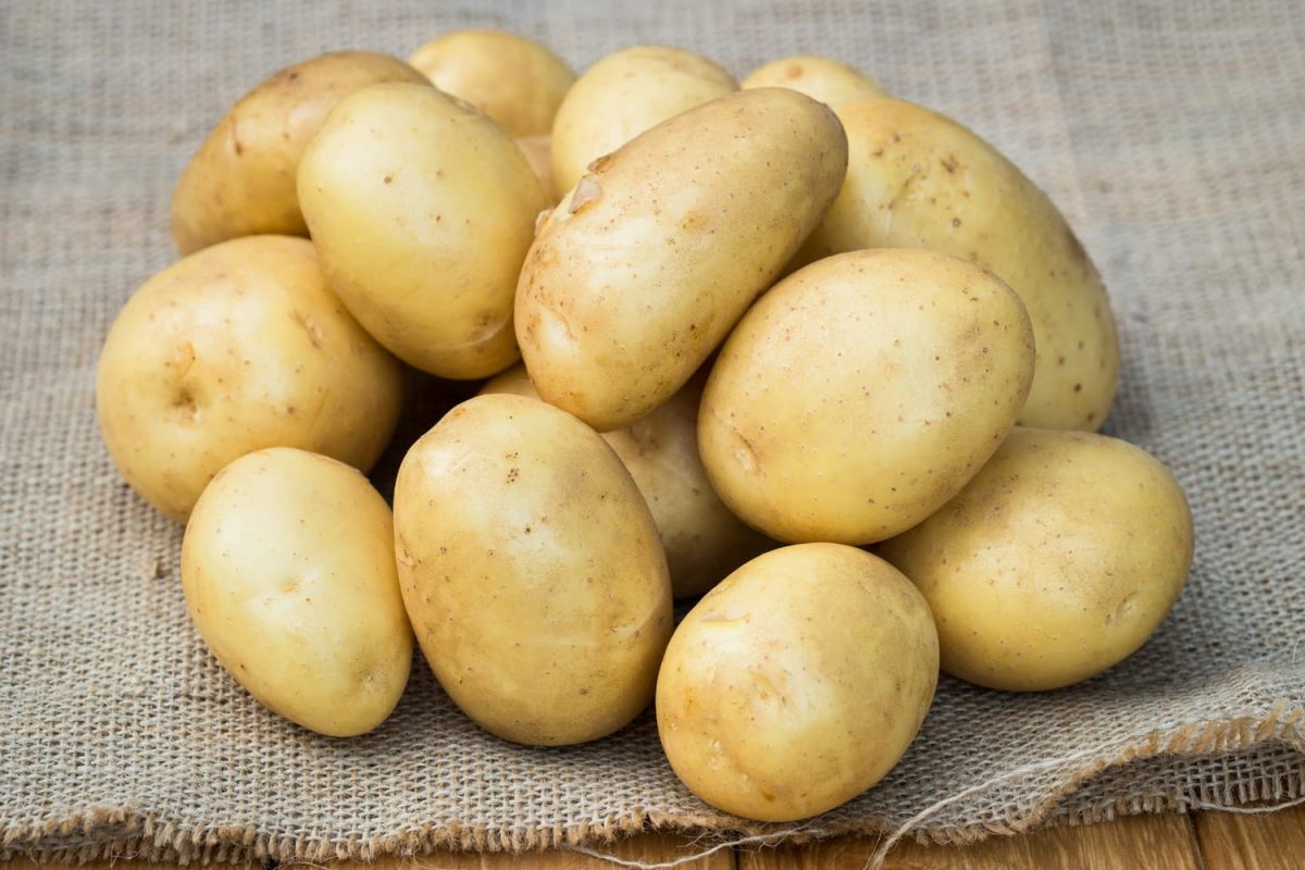 Peut-on congeler des pommes de terre ?