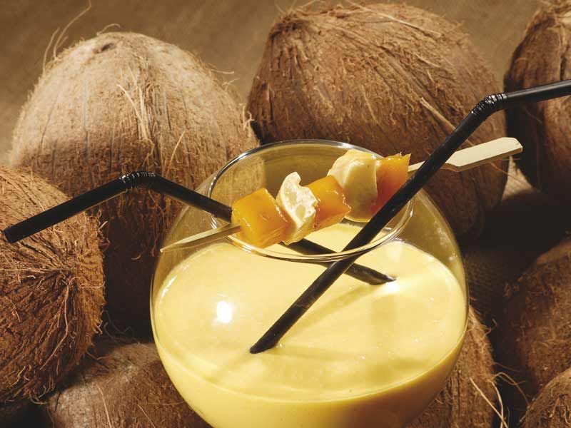 lait de coco : un ingrédient magique pour vos recettes sucrées et salées