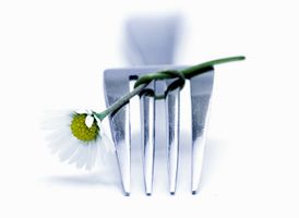 La tendance bio : une révolution dans les assiettes des Français