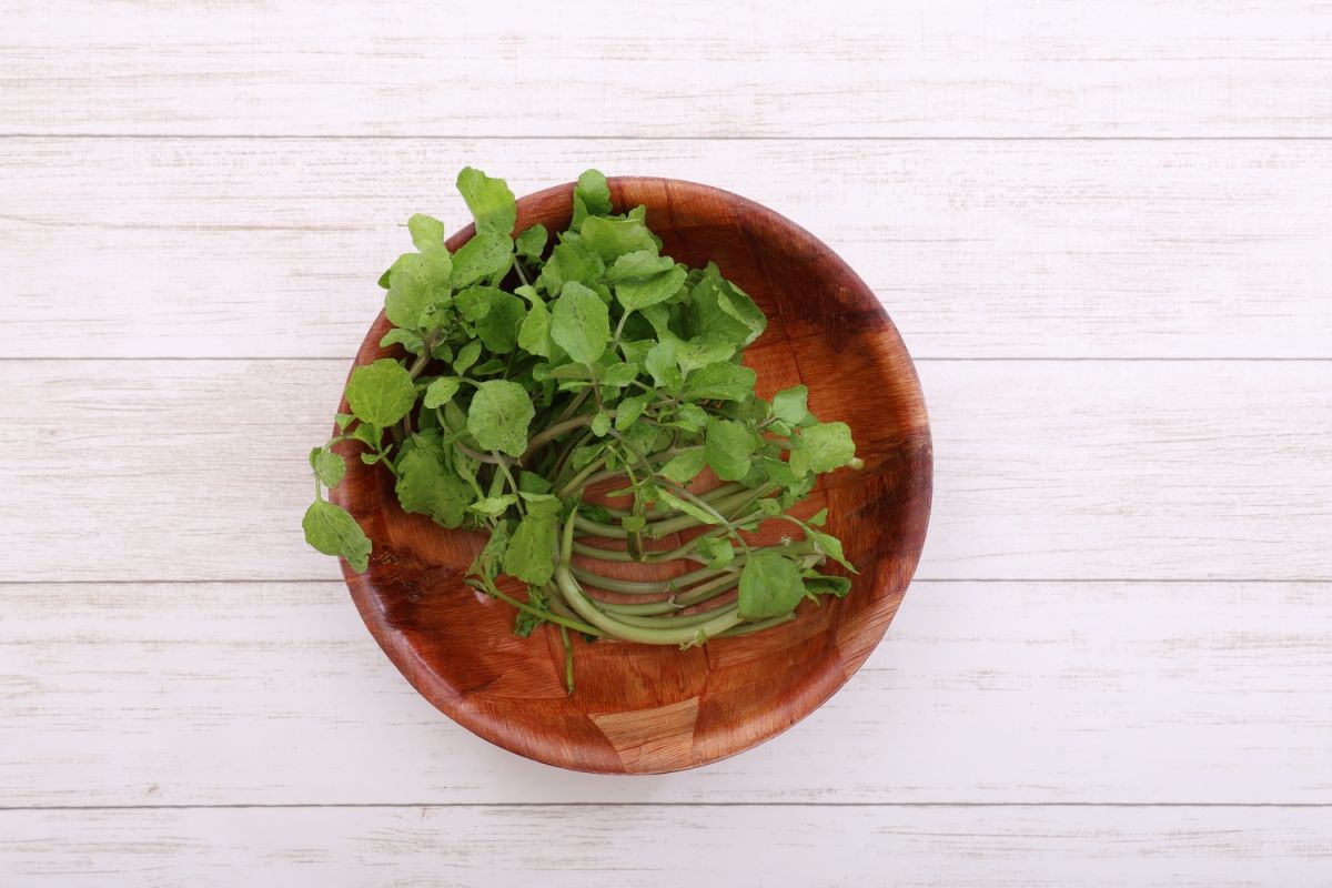 Découvrez le légume méconnu qui surpasse tous les autres en santé