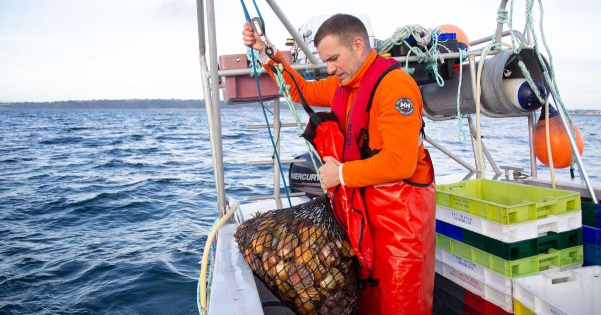 La quête des trésors marins en Bretagne