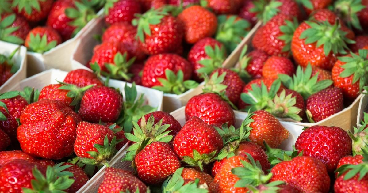 Découvrir les fraises d'exception : les conseils d'une experte
