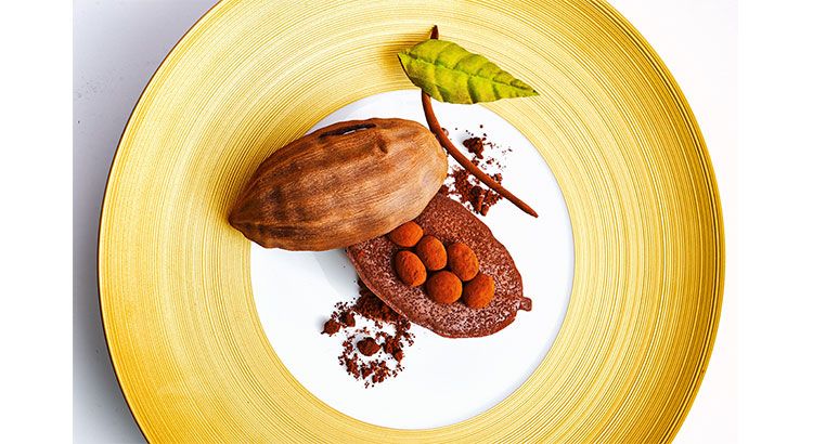 Le chocolat du Pérou revisité : une expérience gourmande et citronnée