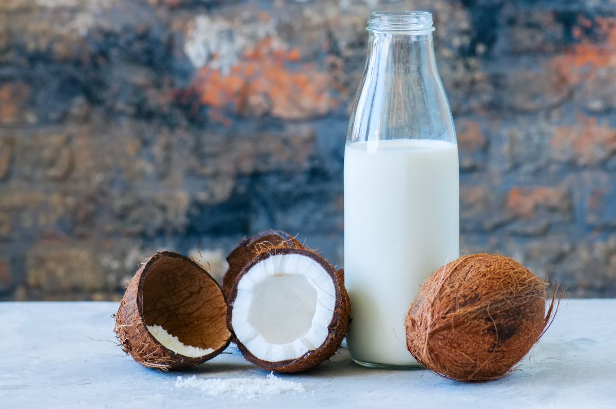 Célébrez le goût crémeux : 6 recettes irrésistibles au lait de coco