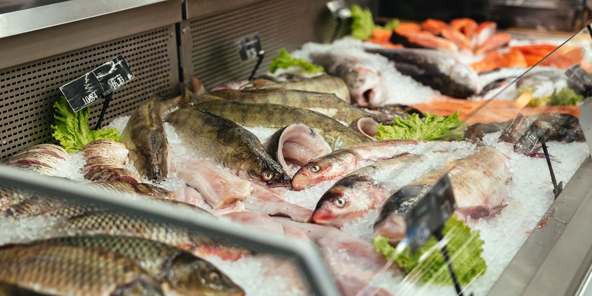 Comment choisir un poisson frais : 4 astuces infaillibles