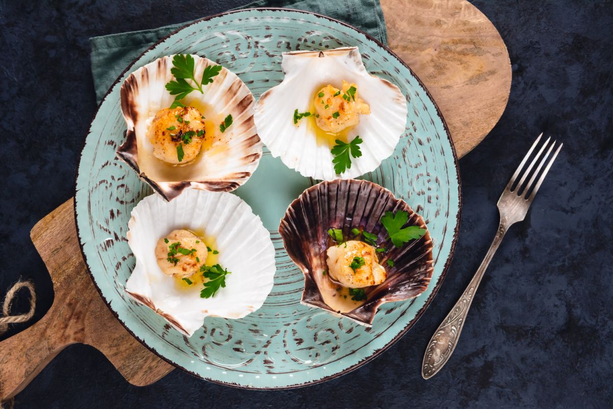 Découvrez 15 recettes savoureuses de Saint-Jacques pour émerveiller vos fêtes