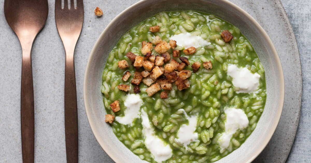 Risotto à la crème de laitue et burrata