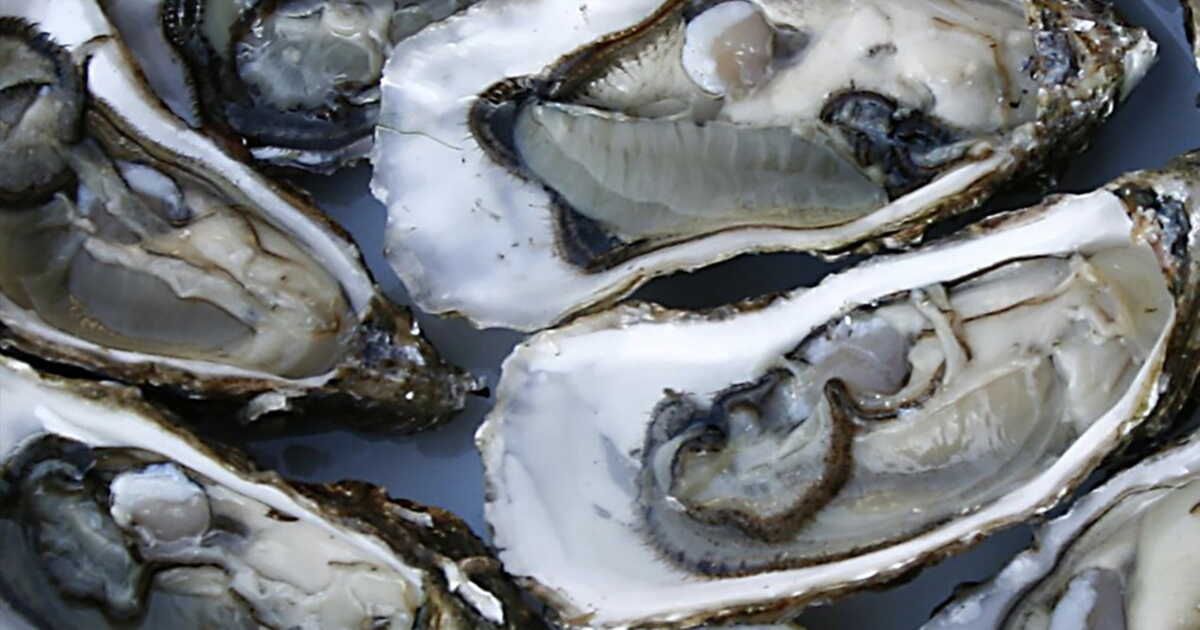 L'huître Marennes Oléron : un trésor gastronomique à découvrir