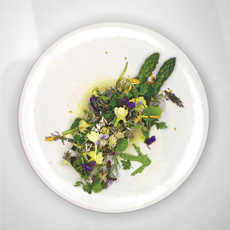 Un voyage culinaire : le festival omnivore célèbre sa dixième édition