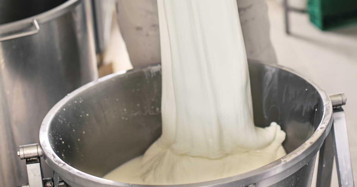 La mozzarella artisanale : plongée au cœur de la production française