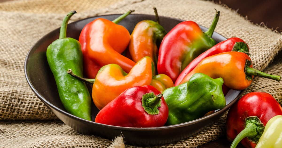 Le piment végétarien : un goût des Antilles à savourer sans piquant