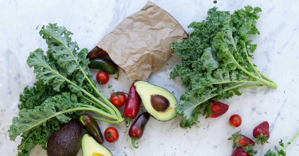 Découvrez les merveilles du chou frisé : recettes simples et savoureuses