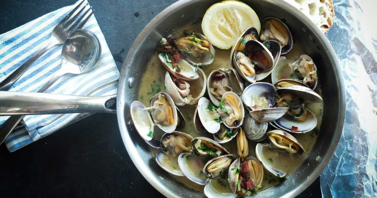 Dégustez les délices des palourdes et des praires en cuisine