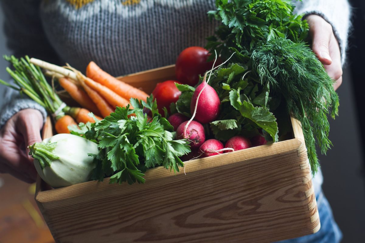 Le légume incontournable pour un corps au top après les fêtes