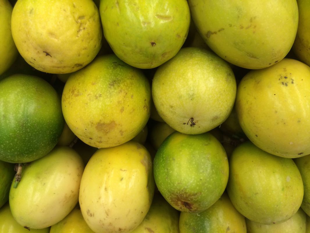 Camu-camu : ce fruit amazonien qui pourrait aider à combattre l'obésité