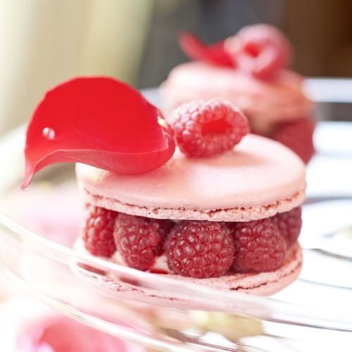 Un délice solidaire : savourez un macaron pour la bonne cause