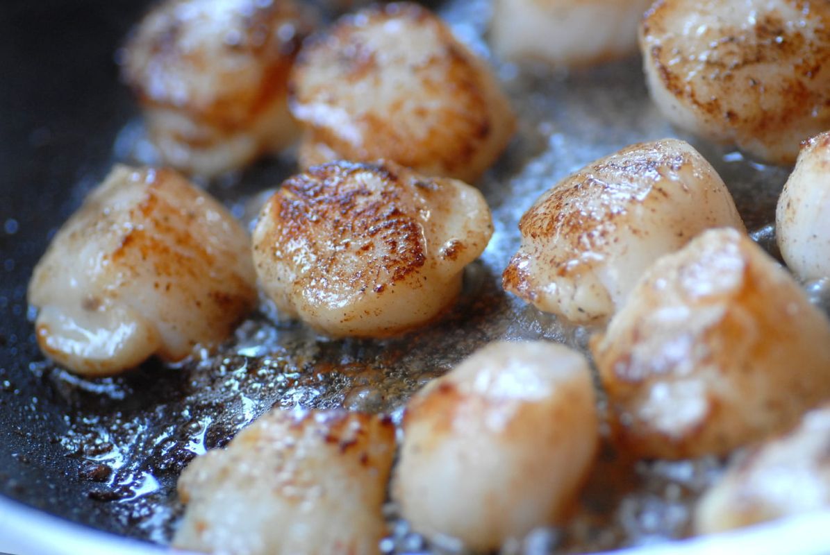 Cyril Lignac sublime les coquilles Saint-Jacques avec une purée de topinambour