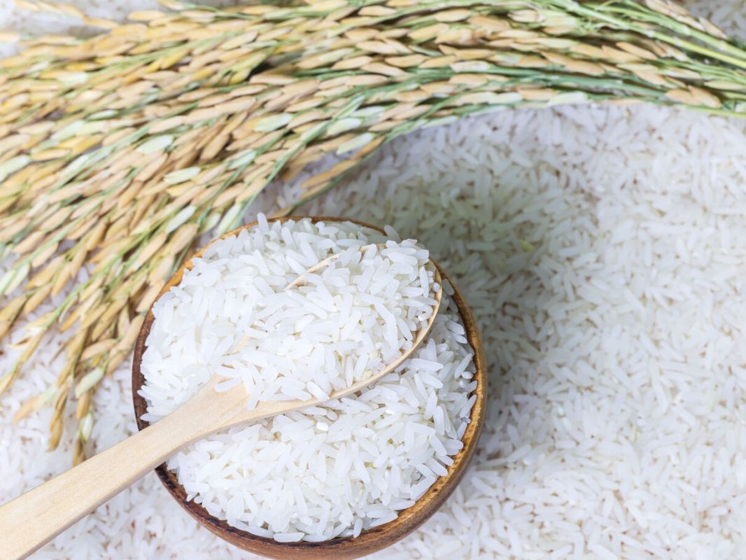 Riz Lidl contaminé : les dangers méconnus des aflatoxines