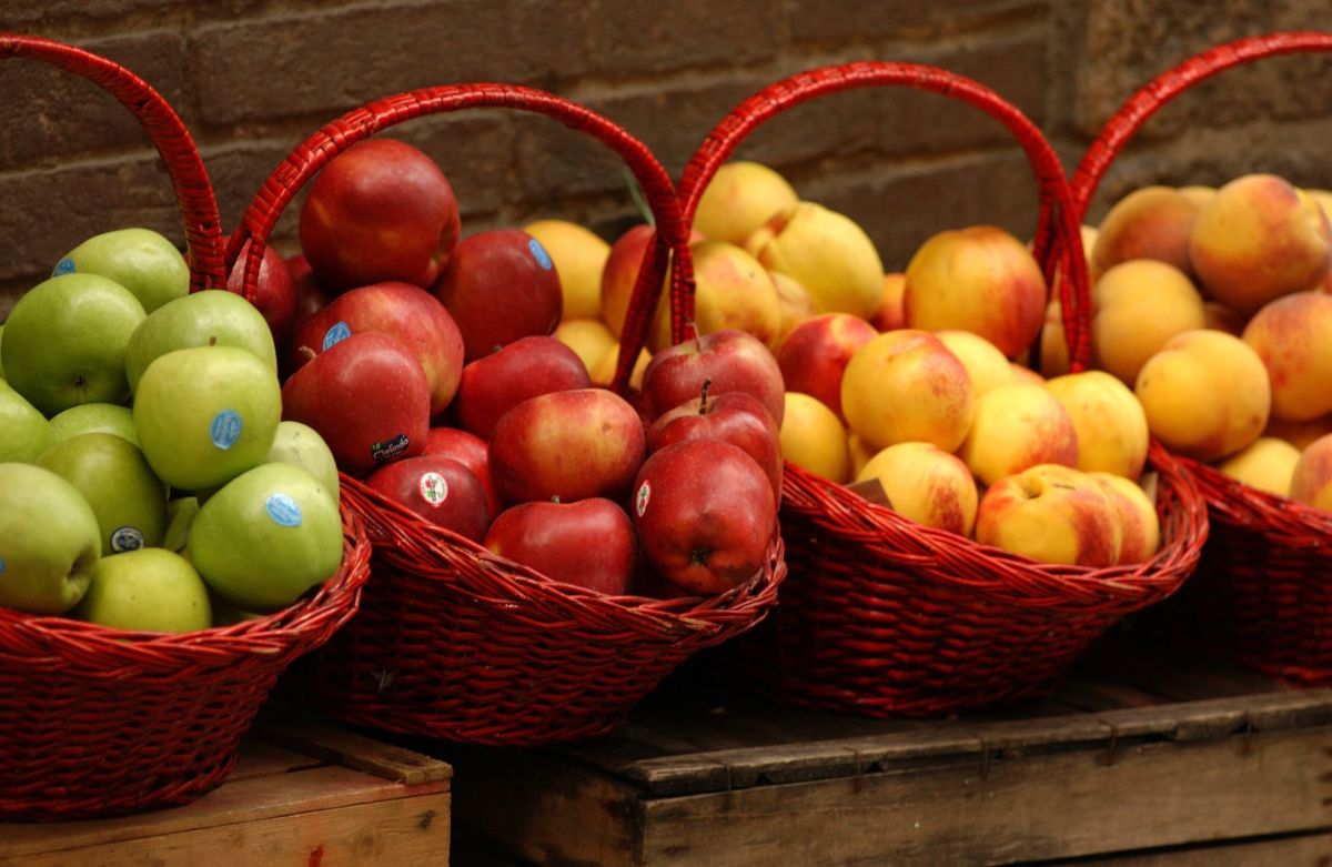 Une pomme par jour, le secret pour vivre plus longtemps
