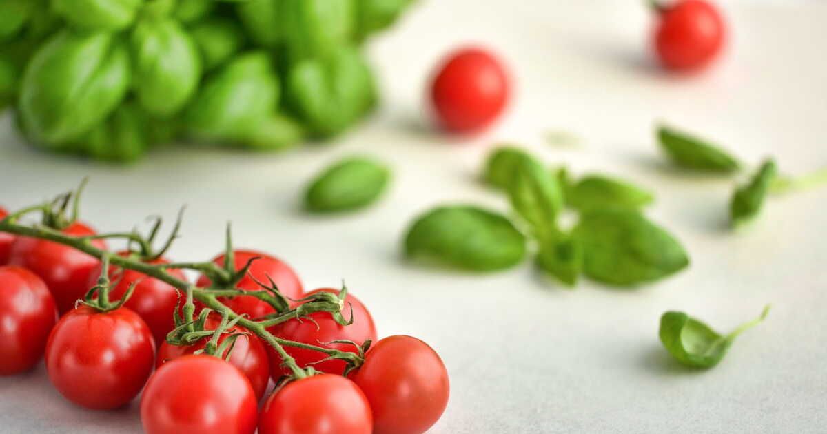 cinq recettes savoureuses à base de tomates à essayer