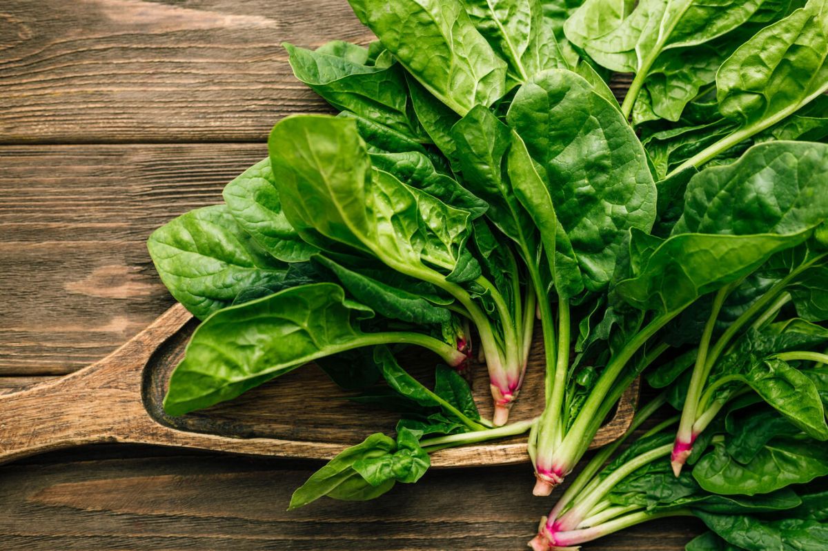Réduire l'inflammation : les trois aliments incontournables d'un médecin britannique
